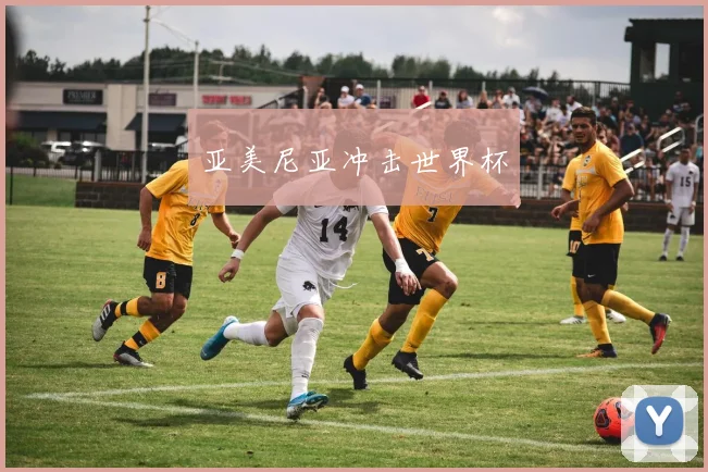亚美尼亚冲击世界杯