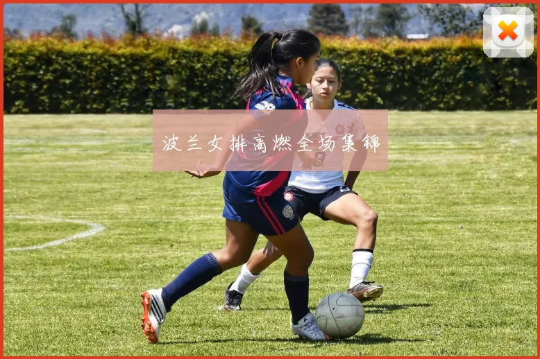 波兰女排高燃全场集锦