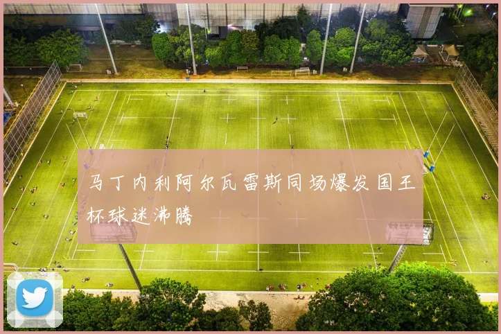 马丁内利阿尔瓦雷斯同场爆发国王杯球迷沸腾