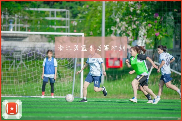 浙江男篮季后赛冲刺