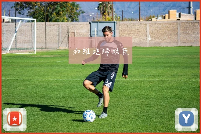 加维逆转功臣