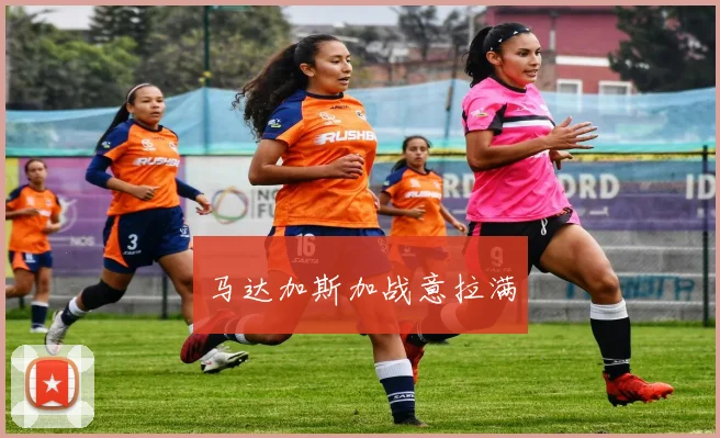 马达加斯加战意拉满