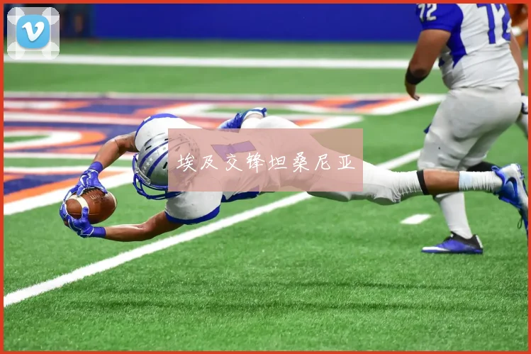埃及交锋坦桑尼亚