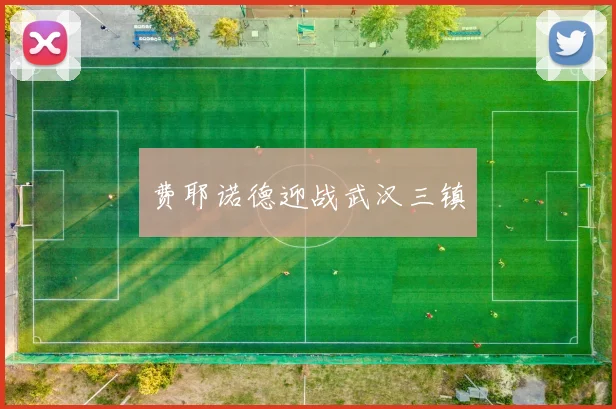 费耶诺德迎战武汉三镇