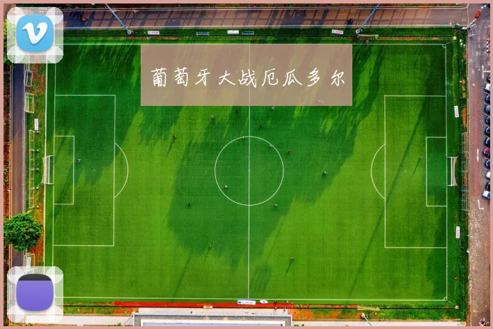 葡萄牙大战厄瓜多尔