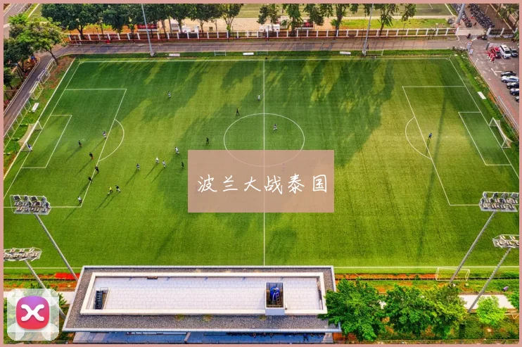 波兰大战泰国
