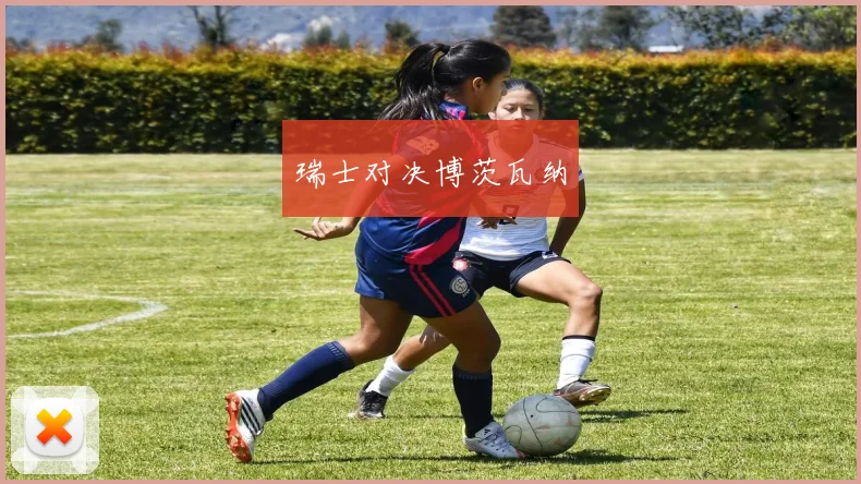 瑞士对决博茨瓦纳