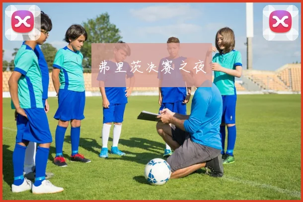 弗里茨决赛之夜