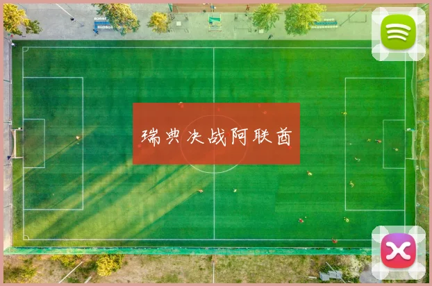 瑞典决战阿联酋