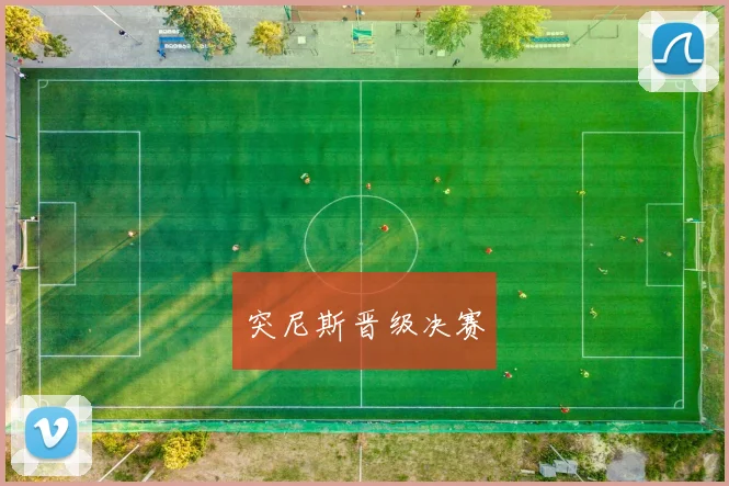 突尼斯晋级决赛