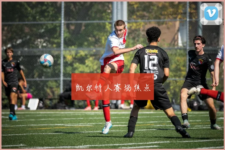 凯尔特人赛场焦点