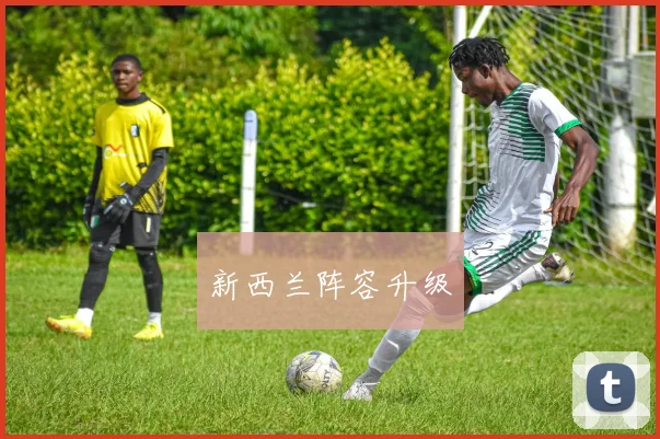 新西兰阵容升级
