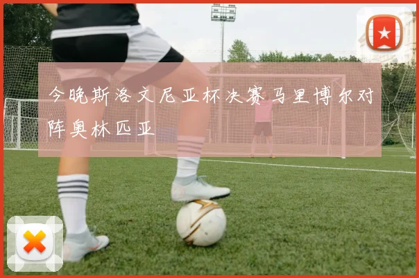 今晚斯洛文尼亚杯决赛马里博尔对阵奥林匹亚