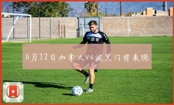 6月12日加拿大vs波黑门将表现