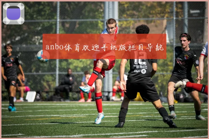 anbo体育欢迎手机版栏目导航