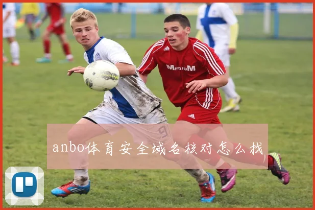 anbo体育安全域名核对怎么找