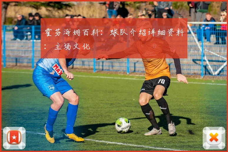 霍芬海姆百科：球队介绍详细资料：主场文化