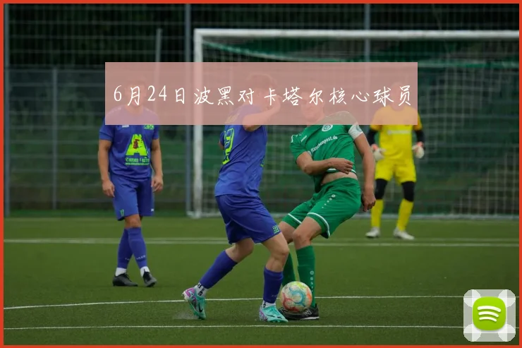 6月24日波黑对卡塔尔核心球员